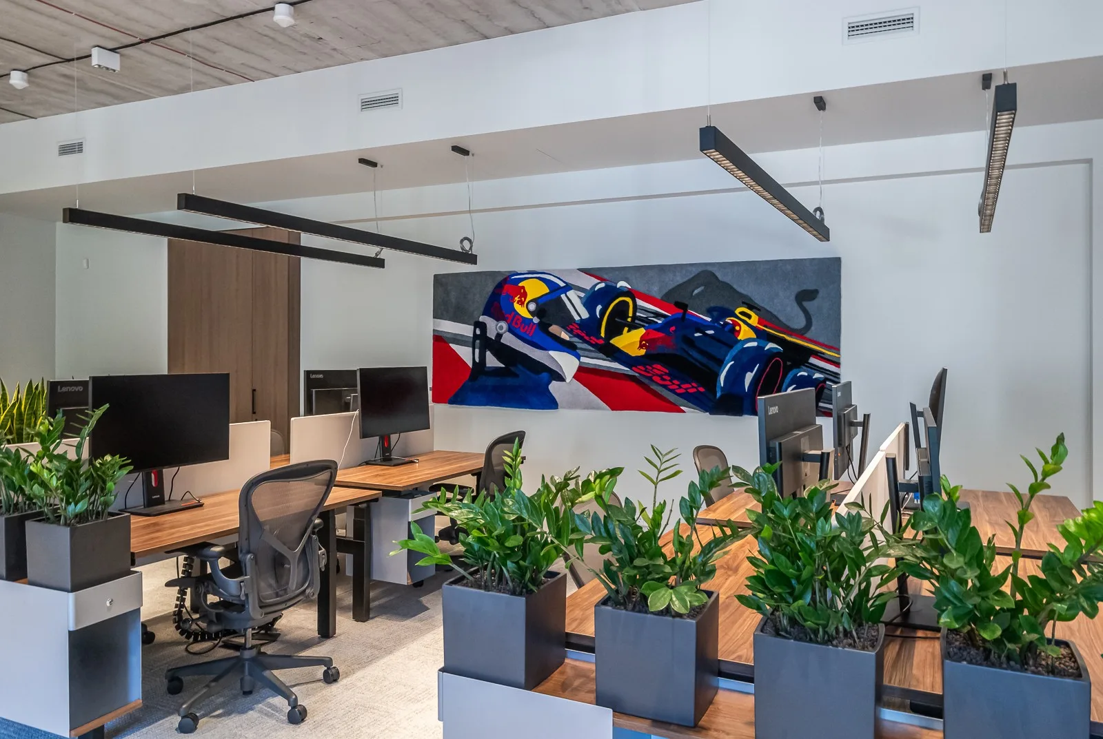 Red Bull F1